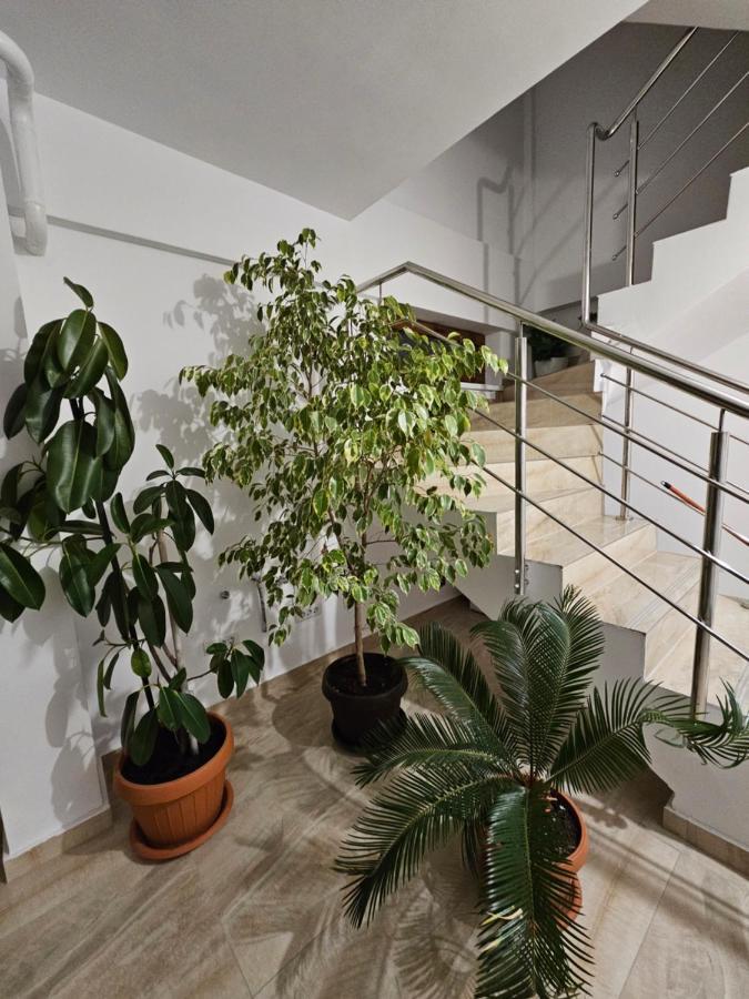 Didi Apartament Крайова Экстерьер фото
